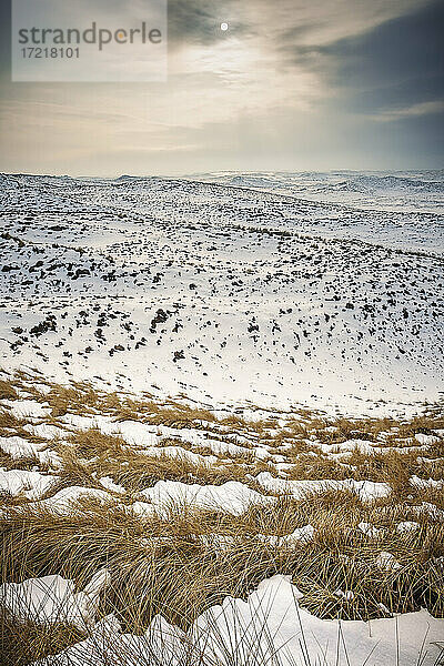 Blick über die verschneite Sylter Dünenlandschaft im Norden der Insel im Februar 2010 - ein sehr seltener Anblick