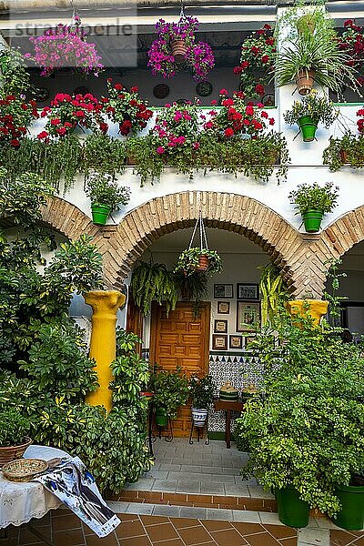 Eingangstüre im mit Blumen geschmückten Innenhof  Geranien in Blumentöpfen an der Hauswand  Fiesta de los Patios  Córdoba  Andalusien  Spanien  Europa