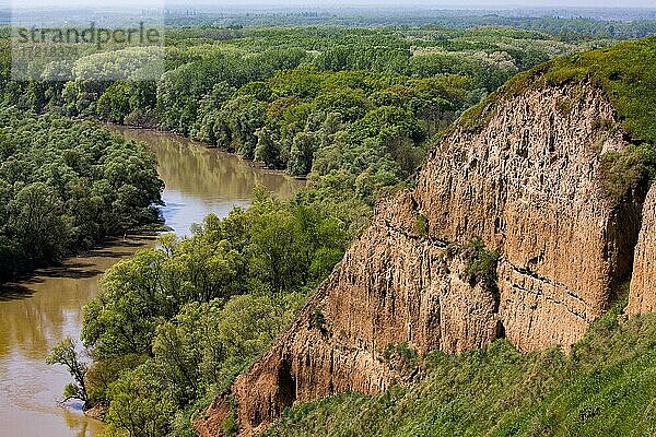 Fluss Kuban  Krasnodar krai  Russland  Europa