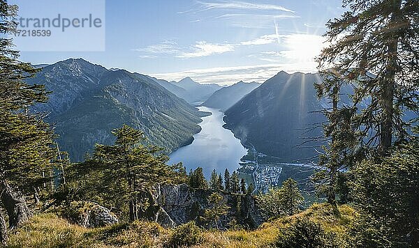 Wanderweg zum Schönjöchl  Sonne scheint durch lichten Kiefernwald  Plansee mit Bergen  Tirol  Österreich  Europa