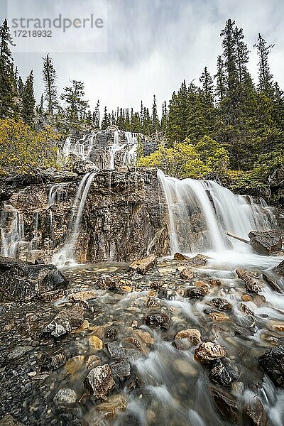Wasserfall Tangle Creek Falls  im Herbst  Jasper National Park  Alberta  Kanada  Nordamerika