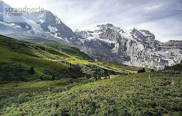 Eiger Nordwand  Steilwand und Berge  Jungfrauregion  Lauterbrunnen  Berner Alpen  Schweiz  Europa