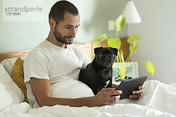 Junger Mann mit Mops  der ein digitales Tablet benutzt  während er zu Hause auf dem Bett sitzt