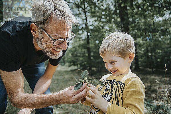 Lächelnder Vater zeigt seinem Sohn Eichel und Eichenblätter im Wald