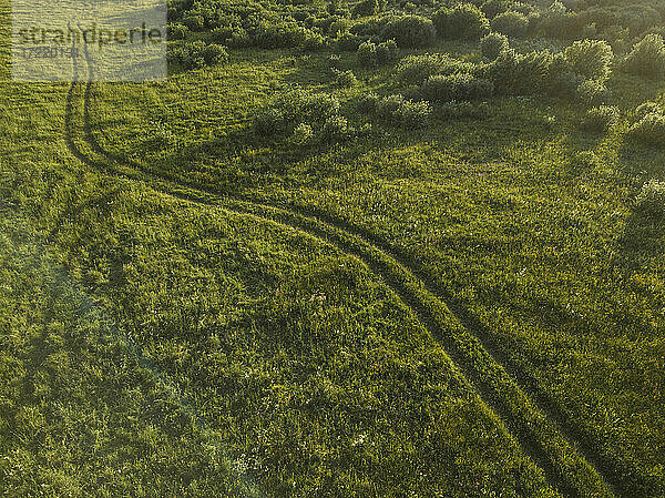 Luftaufnahme einer Straße zwischen Weiden  Tichwin  Russland
