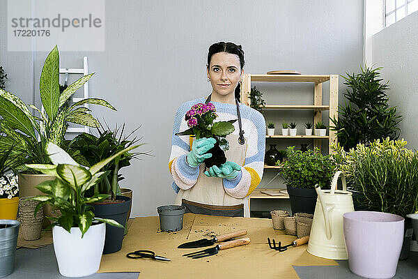 Gärtnerin  die eine Pflanze hält  während sie an einem Tisch in einer Werkstatt steht