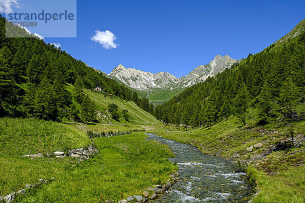 Italien  Aostatal  Saint-Rhemy-en-Bosses  Bach im Valle Del Gran San Bernardo