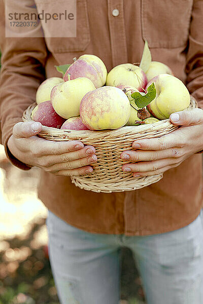 Junge hält Korb mit Äpfeln
