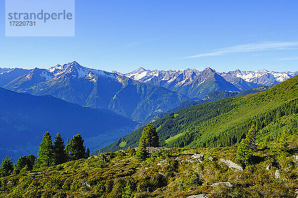 Blick über die Zillertaler Alpen  Zillertal  Tirol  Österreich