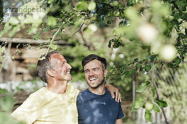 Vater schaut sich einen Baum an  während er mit seinem Sohn im Hinterhof steht