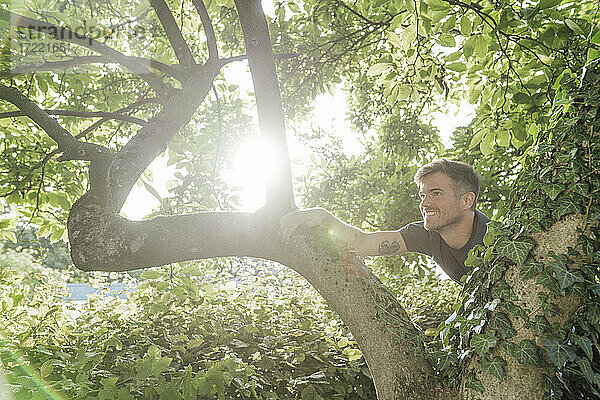 Neugieriger Mann klettert an einem sonnigen Tag auf einen Baum