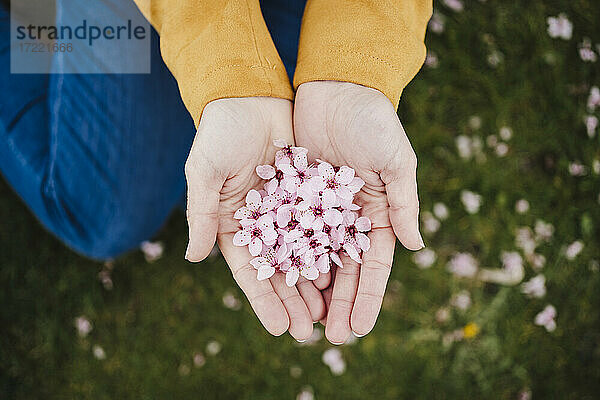 Mittlere erwachsene Frau hält Frühlingsblumen in der Hand