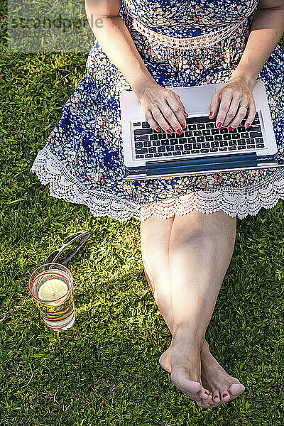 Mittlere erwachsene Frau  die einen Laptop benutzt  während sie an einem sonnigen Tag im Gras sitzt