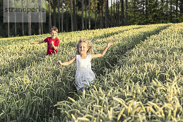 Lächelndes süßes Mädchen läuft mit Bruder inmitten von Kulturpflanzen bei Sonnenuntergang