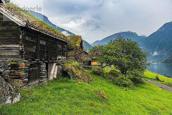 Norwegen  Aurland  Hütte des traditionellen Dorfes Otternes über dem Aurlandsfjord