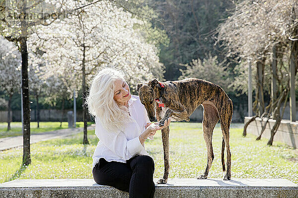 Lächelnde Frau mit Hund in einem öffentlichen Park