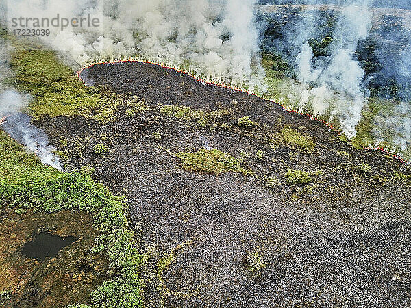 Gabun  Luftaufnahme eines kontrollierten Waldbrandes
