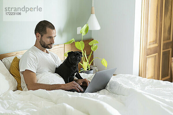 Männlicher Unternehmer mit Mops  der einen Laptop benutzt  während er zu Hause auf dem Bett sitzt