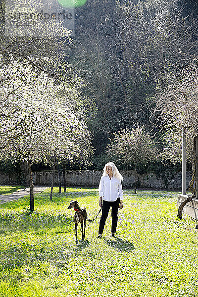 Ältere Frau geht mit Hund im Park spazieren