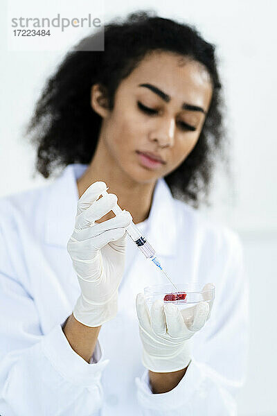 Eine Forscherin injiziert Fleisch in eine Petrischale  während sie im Labor arbeitet