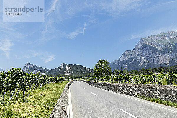 Schweiz  Graubünden  Maienfeld  Straße durch Weinberg mit Falknis im Hintergrund