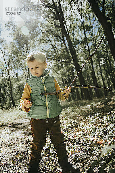 Junge hält Stock  während er an einem sonnigen Tag im Wald steht