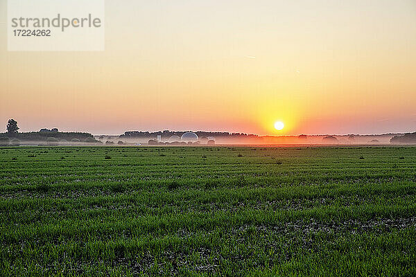 Deutschland  Bayern  Augsburg  Landwirtschaftliches Feld bei Sonnenuntergang