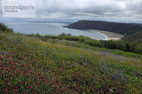 Frühlingshafte Wiese mit dem Strand Praia da Gralha im Hintergrund