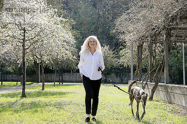 Lächelnde Frau beim Spaziergang mit Hund im Park an einem sonnigen Tag