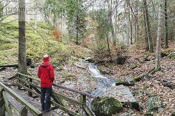 Ältere Frau mit rotem Mantel und Hut steht auf einer Brücke im Wald