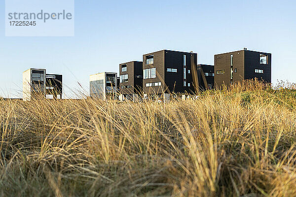 Dänemark  Romo  Gras vor modernen Sommerhäusern