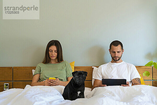 Paar  das ein Smartphone und ein digitales Tablet benutzt  während es mit einem Mops auf dem Bett im Schlafzimmer zu Hause sitzt