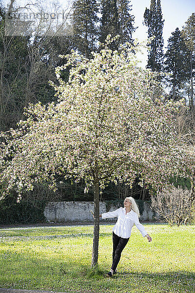 Ältere Frau  die im Frühling im Park um einen Baum mit Blumen herumgeht