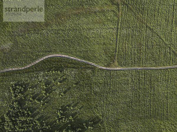 Luftaufnahme einer Straße zwischen Weiden  Tichwin  Russland