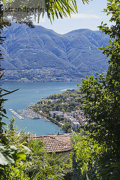 Schweiz  Tessin  Locarno  Blick auf den Lago Maggiore und den Locarneser Bootshafen von Orselina aus