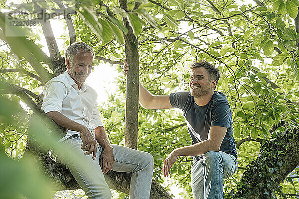 Vater sitzt mit seinem Sohn auf einem Baum und schaut an einem sonnigen Tag weg