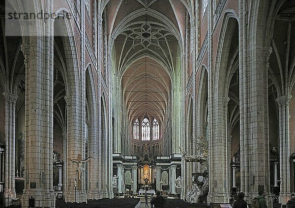 Langschiff der Kathedrale St. Bavo Sint Baafs  Altstadt  Gent  Ostflandern  Belgien  Europa