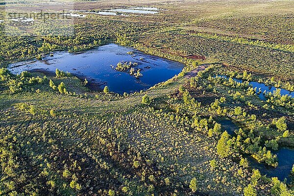 Luftbild des Neustädter Moor  Wagenfeld  Niedersachsen  Detuschland