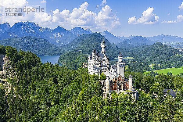 Schloss Neuschwanstein im Sommer  bei Schwangau  Ostallgäu  Allgäu  Schwaben  Bayern  Deutschland  Europa