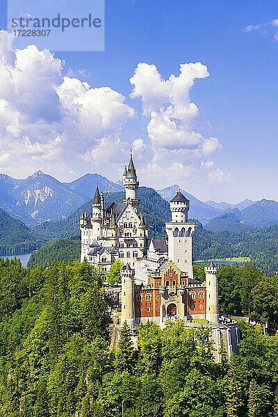Schloss Neuschwanstein im Sommer  bei Schwangau  Ostallgäu  Allgäu  Schwaben  Bayern  Deutschland  Europa