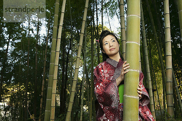 Porträt schöne neugierige junge Frau im japanischen Kimono unter Bambusbäumen
