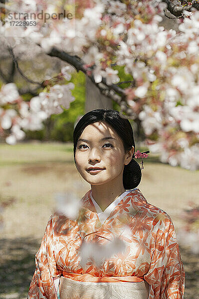 Schöne heitere junge Frau im Kimono unter Kirschblütenbaum