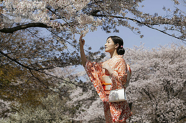 Schöne junge Frau im japanischen Kimono unter Kirschblütenbäumen