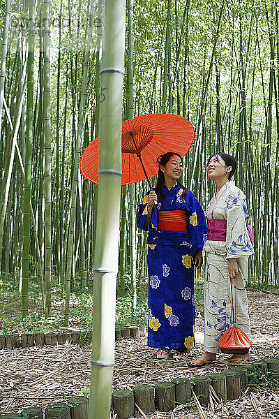 Schöne junge Frauen im Kimono mit Sonnenschirm im Bambuswald