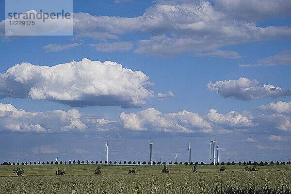 Windkraftanlagen in sonnigen idyllischen ländlichen Feld unter Wolken in blauen Himmel  Brandenburg  Deutschland