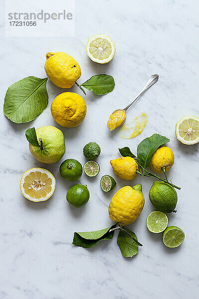 Zitronen  Limetten und Lemon Curd