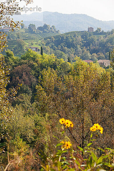 Landschaft in der Nähe des Dorfes Rolle im Bezirk Treviso