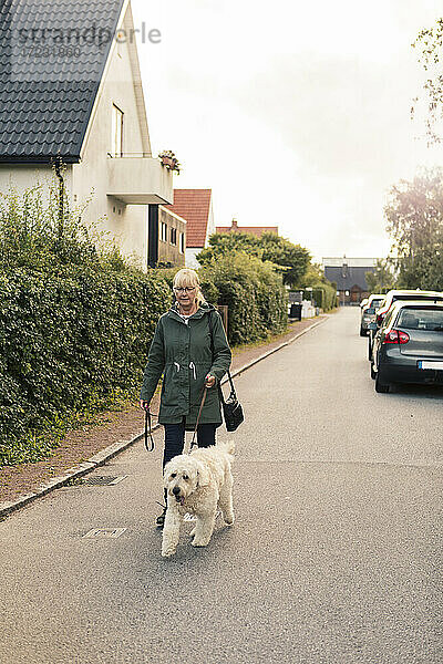 Reife Frau mit Hund zu Fuß auf der Straße bei Sonnenuntergang