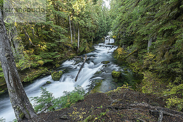 Sahalie Falls im Herbst  McKenzie Bridge  Lane county  Oregon  Vereinigte Staaten von Amerika  Nordamerika