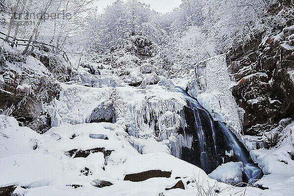 Gefrorene Dardagna Wasserfälle im Winter mit Schnee  Parco Regionale del Corno alle Scale  Emilia Romagna  Italien  Europa